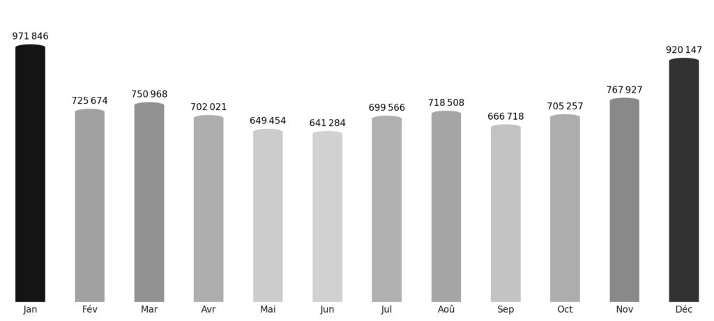 Affluence touristique mois par mois Afrique du Sud