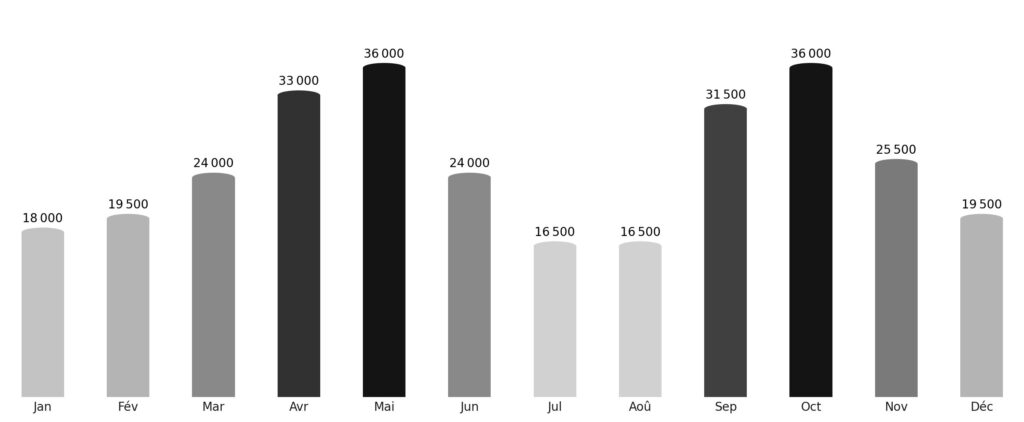 Affluence touristique mois par mois Syrie