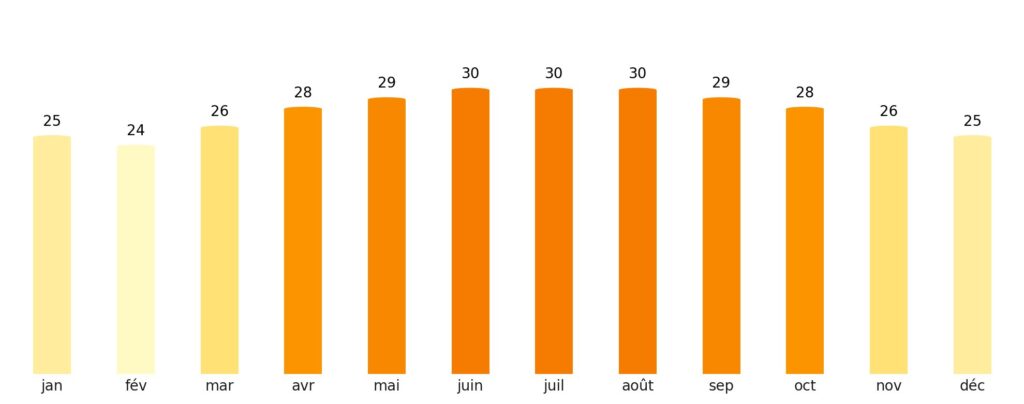 Nombre de jours de soleil par mois Arabie saoudite